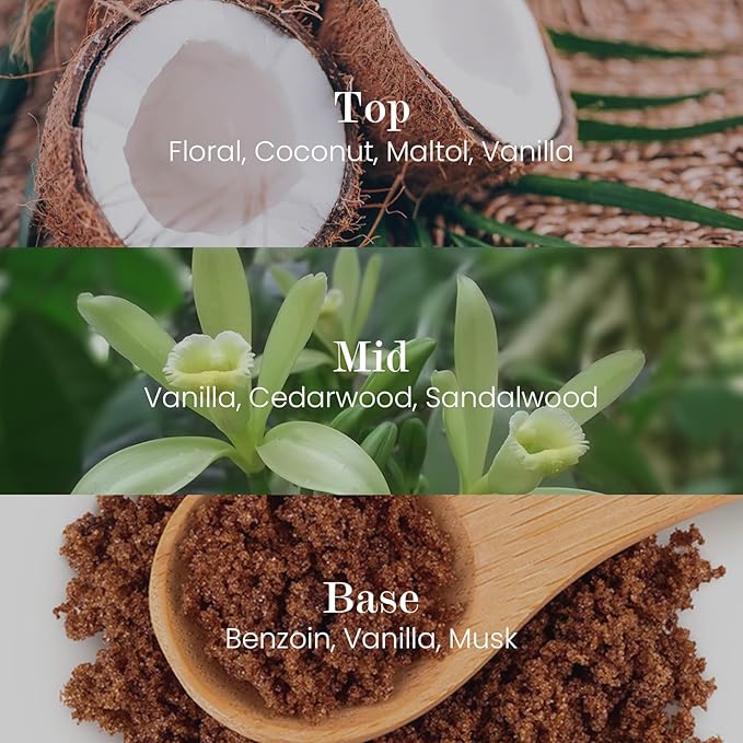 M&SENSE Natural Soy Candle| Vanilla Sandalwood | 5.3 oz | Minimalist Scented Candle for Relaxation, Gifting, Home Décor | for Bedroom, Office, Party Small-Ruum Studio Home