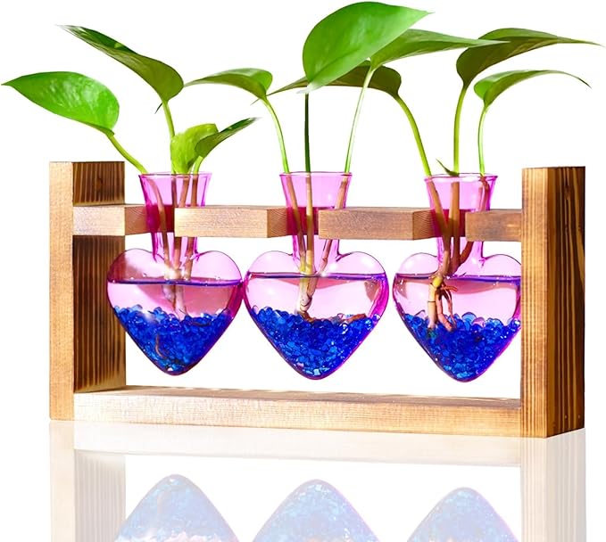 Nacome Plant Terrarium for Office Decor: Birthday Gifts for Plant Lovers Women Mom Wife - Wooden Stand Tabletop Planter 3 Bulb Glass Vase Heart Shaped for Hydroponics Indoor Home(Purple)-Ruum Studio Home