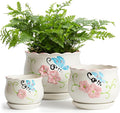 Ceramic Plant Pots with Drainage Holes and Saucers, Round Flower Pots for Indoor Plant, 3.9/5.2/6.7 Inches Flower Large Planters Set of 3-Ruum Studio Home