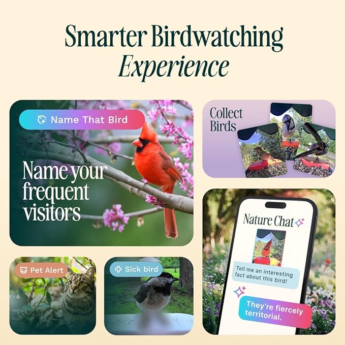 Birdbuddy PRO Solar Smart Bird Feeder with Camera - AI Bird Species Identification, 5MP Photos, 2K HD Video Live Stream Camera, Slow-Motion Video, 2.6in Focus - Blue Solar-Ruum Studio Home