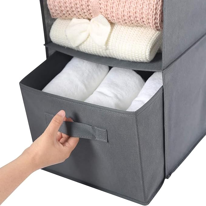 MAX Houser Hanging Shelf Closet Storage Organizer Removable Drawers ，Hanging Storage Organizer Hanging Sweater 2 Sock Underwear Drawers for Closet, Bedroom, Dark Grey-Ruum Studio Home