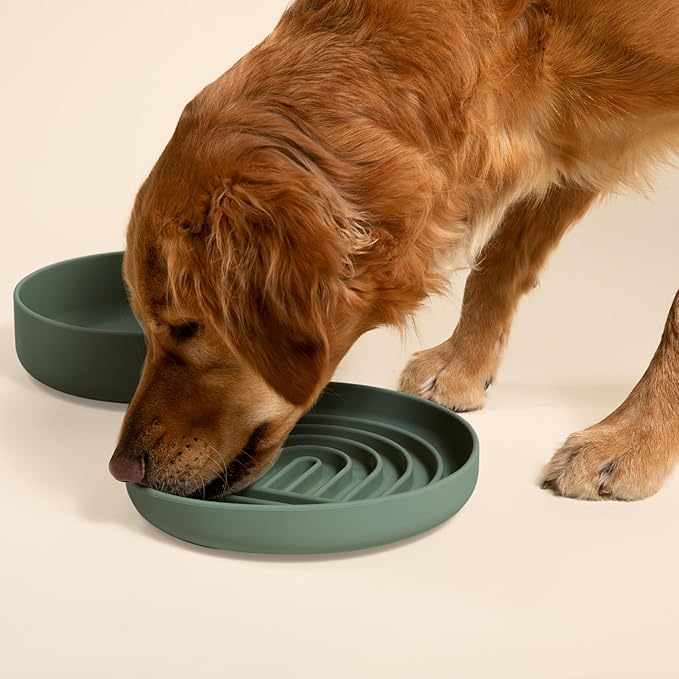 The Slowdown Bowl Silicone Slow Feeder for Dogs & Puppies, Slow Eating, Modern Lick Mat Design, Reduces Gulping, Fits 2.5 Cups 9.5” Across x 1.5” Tall, Mealtime Challenge, Large-Spruce-Ruum Studio Home