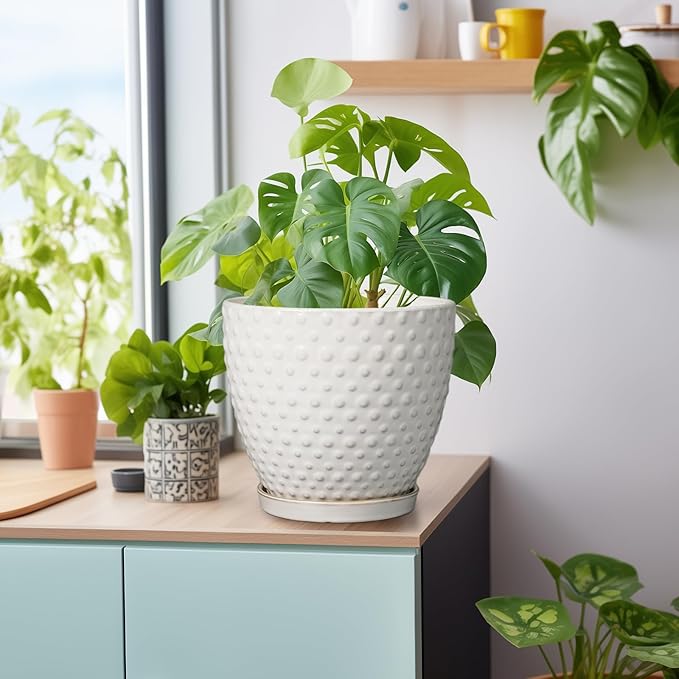 G EPGardening 8 Inch Plant Pot for Indoor Outdoor Plants Round Ceramic Planter Pot with Drainage Hole and Saucer Modern Large Flower Pot White-Ruum Studio Home