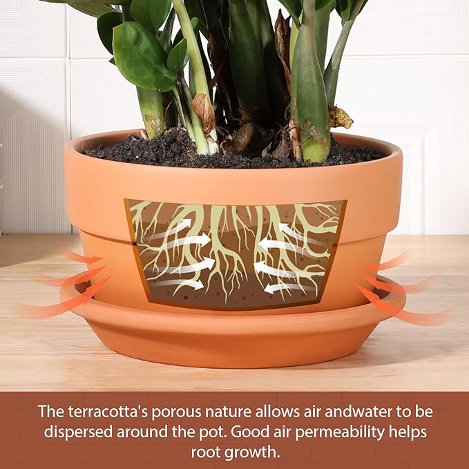 INGOFIN 8 Inch Terracotta Shallow Pots Set with Saucer - Ceramic Clay Pots with Drainage Hole, Terra Cotta Pot for Plants for Indoor Outdoor Plants, Set of 2-Ruum Studio Home
