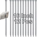 VVOKGO 16 Inch Rebar Stakes Metal Asphalt Anchoring Spikes Ground (12pcs), 1/2 Inch Diameter Galvanized Landscape Anchors Heavy Duty for Speed Bump, Handicap Threshold Ramps, Parking Limits Curb, Tarp-Ruum Studio Home