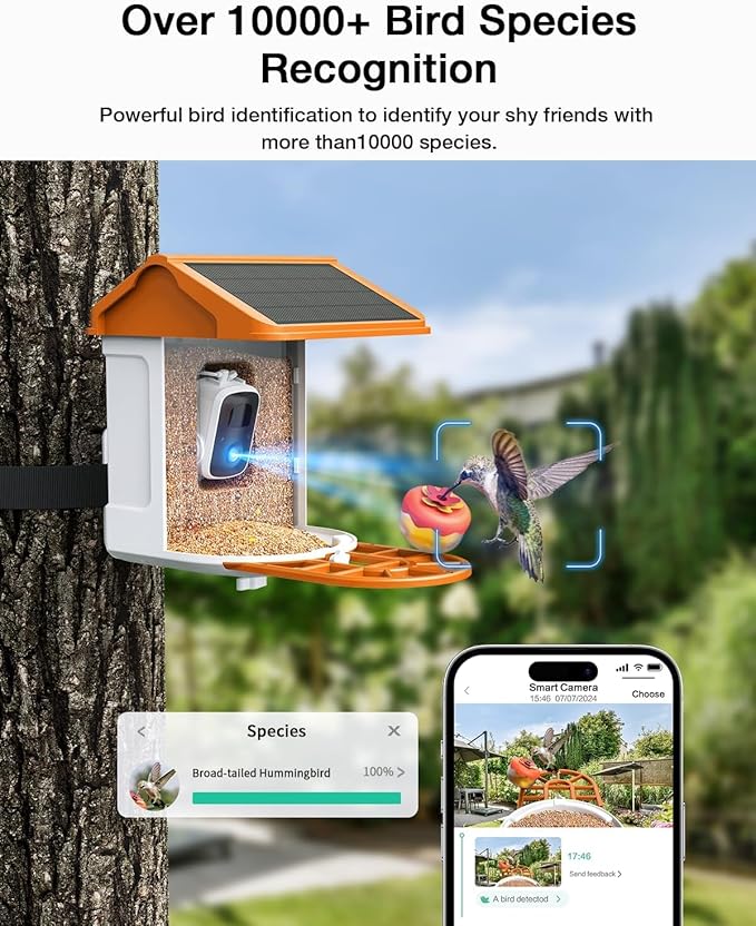 Smart AI Bird Feeder with Camera: Solar-Powered, 2K Live Video, Bird‘s Species Identification, Arrival Alerts, and Motion Capture –Wireless Bird Camera for Watching Birds (Orange)-Ruum Studio Home