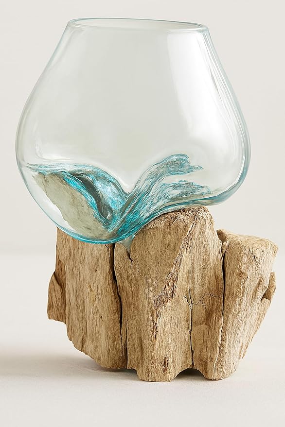 OMA Molten Glass on Driftwood – Hand Blown Vase, Terrarium, or Planter for Coastal & Boho Home Décor Centerpieces (6" - 7" High)-Ruum Studio Home