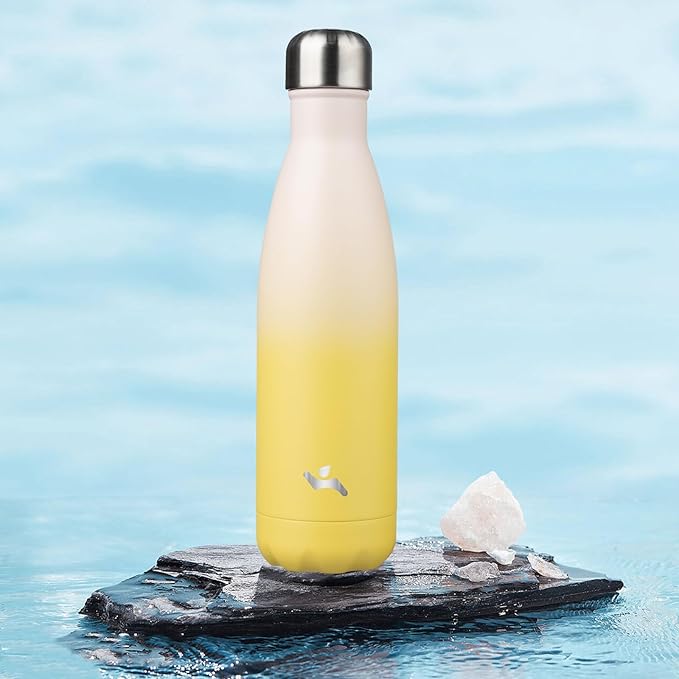 Insulated Water Bottles,17 oz Double Wall Stainless Steel Vacumm Metal Flask for Sports Travel,Lemon-Ruum Studio Home
