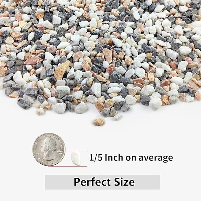 10LB Succulent and Cactus Gravel Pebbles, 1/5 Inch Natural Decorative Polished Stones, River Rocks for Plants, Vases, Aquariums, Terrarium and Outdoor Gardening,Mixed Color-Ruum Studio Home