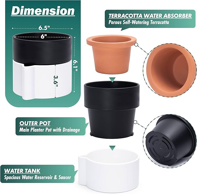 Phoenix Vine 6.5 Inch Self-Watering Planter Pot with Terracotta Insert, Deep Water Reservoir, and Ceramic-Alike BPA-Free Plastic Pot for Plant, Modern Planter for Houseplants, White/Black, 53-B-S-4-Ruum Studio Home