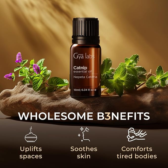Gya Labs Catnip Essential Oil for Skin - 0.34 Fl Oz - 100% Pure Natural Catnip Oil for Diffuser, Massage & Candle Making Scent-Ruum Studio Home