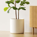 LE TAUCI 12 Inch Pot for Plants, Ceramic Large Planter for Indoor Plants, Mid-Century Modern Flower Pots with Drainage Hole and Removable Plug, White-Ruum Studio Home