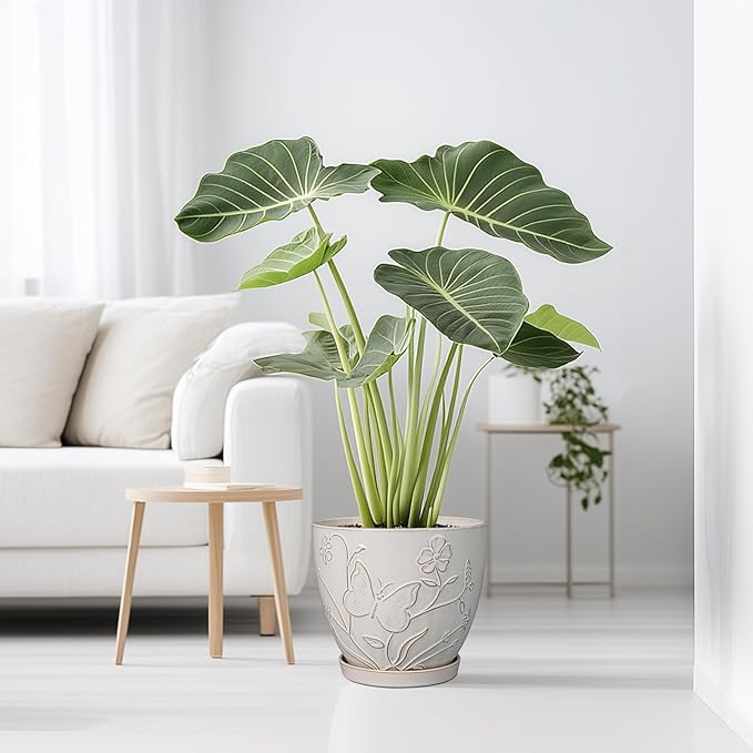 10 Inch Plant Pot Ceramic Planter Pot with Drainage Hole and Saucer Round Planter Large Flower Pot for Indoor Outdoor Plants Home Garden Decor White-Ruum Studio Home