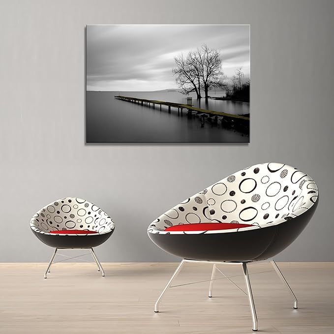 DZL Art S74981 Canvas Prints Modern Minimalist Black and White Lake Trees Landscape Wall Art Painting for Living Room Bedroom Decor Office Wall Decor Home Decoration-Ruum Studio Home