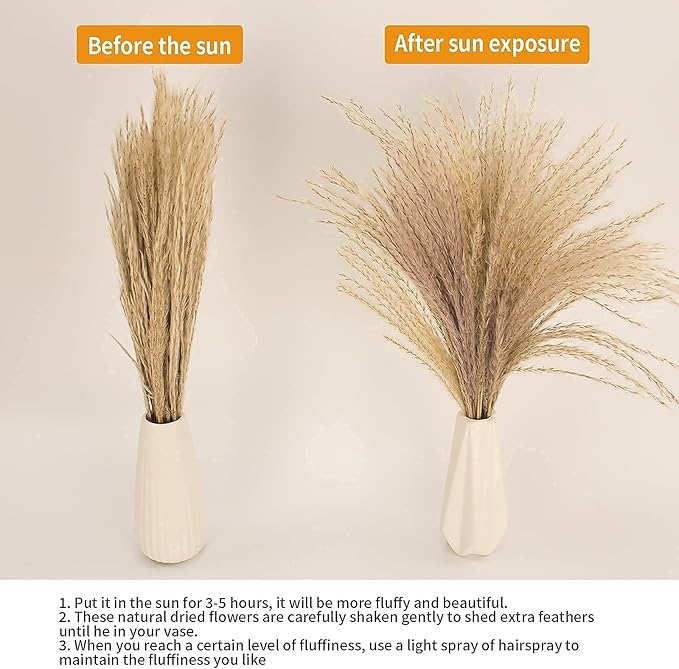 65PCS Pampas Grass Decor, Including pompas Floral, Reed Dried Grass and Bunny Tails Dried Flowers, Natural Dried Pampas Grass Bouquet for Boho Decor Wedding, Home Decoration-Ruum Studio Home