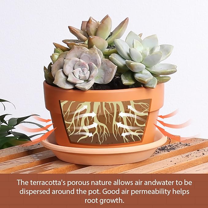 INGOFIN 5 Inch Terracotta Shallow Pots Set with Saucer - Ceramic Clay Pots with Drainage Hole, Terra Cotta for Plants for Indoor Outdoor Plants, Set of 6-Ruum Studio Home