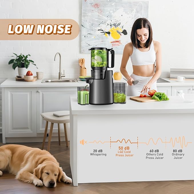 Cold Press Juicer, Juicer Machines with 5.4" Wide Feed Chute for Juice Extractor, Professional Slow Masticating Juicer for Whole Vegetables & Fruits with High Juice Yield, Easy to Clean (Black)-Ruum Studio Home
