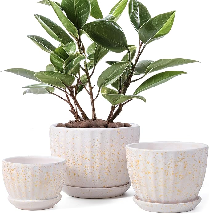 Ceramic Plant Pots with Drainage Holes and Saucers, Round Flower Pots for Indoor Plant, Diameter 3.3/4.3/5.5 Inches Small Flower Planters Set of 3-Ruum Studio Home