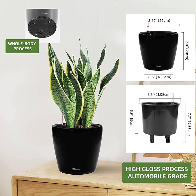 Dexceder 9x8 Inches High Gloss Self Watering Planter Indoor Outdoor, Inner Pot Design, Thickened Table Flower Plant Pot with Water Level Indicator (Black)-Ruum Studio Home