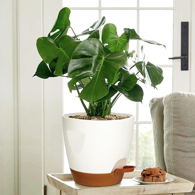 Uneed Indoor Self Watering Planters with Drainage Holes and Saucers, 7/6.5/6/5.5/5 Inch-5 Pots,for Indoor Plants, Herbs, Succulents (White)-Ruum Studio Home