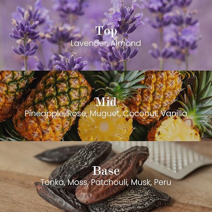 M&SENSE Natural Soy Candle| Lavender Vanilla | 16.6 oz, 95H Burn | Minimalist Scented Candle for Relaxation, Gifting, Home Décor | for Bedroom, Office, Party Large-Ruum Studio Home