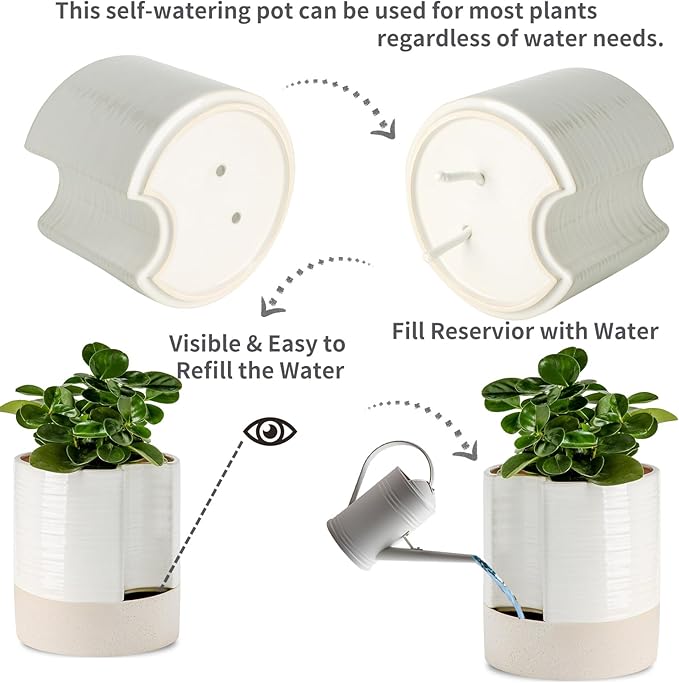 Nihow Self Watering Plant Pot: 8 Inch Ceramic Planter with Drainage Hole & Water Storage Plus for Indoor & Outdoor Plants - Cylinder Round Flower Pot for Succulent/Herbs/Violets - Cream White & Brown-Ruum Studio Home