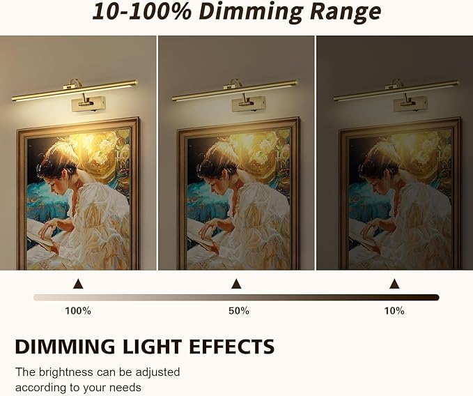 Wireless Picture Lights with Remote and Timer Rechargeable Brass Gallery Lighting Battery Operated Art Lights Over Frame Portrait 5W 24'' Inch Warm White-Ruum Studio Home