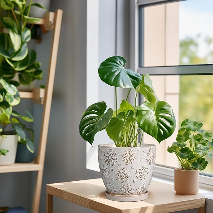 6.9 Inch Plant Pot with Drainage Hole and Saucer Ceramic Planter for Indoor Plant Flower Pot for Orchid Succulents Plants White-Ruum Studio Home