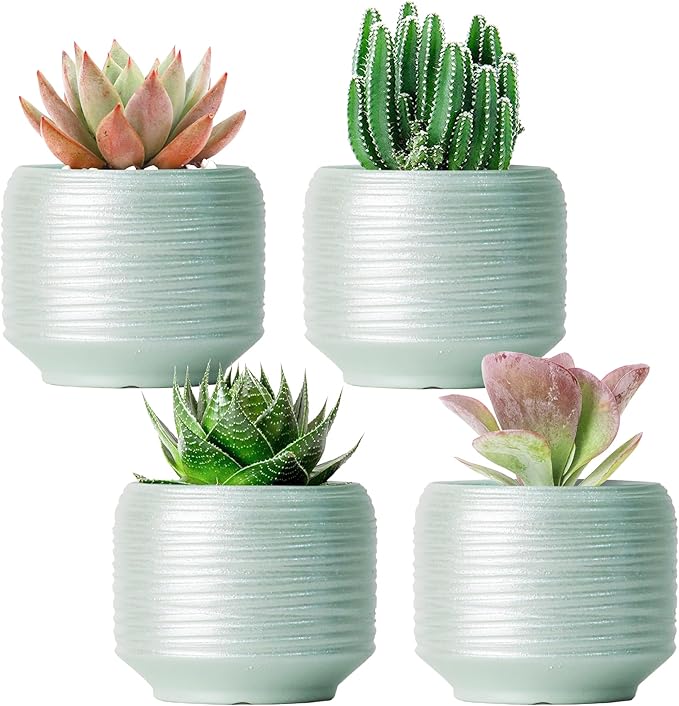 Mini Succulent Planter Set – 3.7 Inch Ceramic Pots with Drainage for Indoor Plants, Small Decorative Flower Pots for Cactus and House Plants, Set of 4-Ruum Studio Home