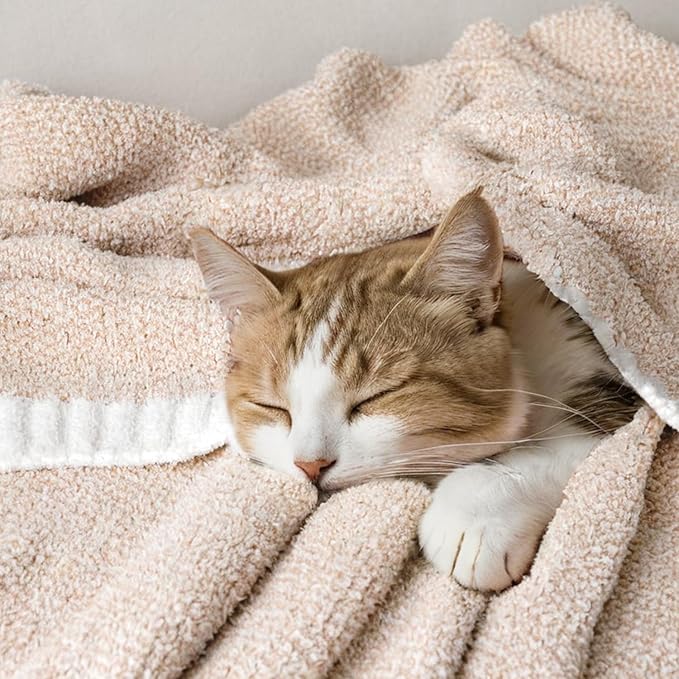 MIULEE Beige Super Soft Throw Blanket for Couch, Cozy Fluffy Warm Throws Knit Blankets for Sofa, Bed, Chair, Living Room, Camping, Picnic, 50 x 60 inch-Ruum Studio Home