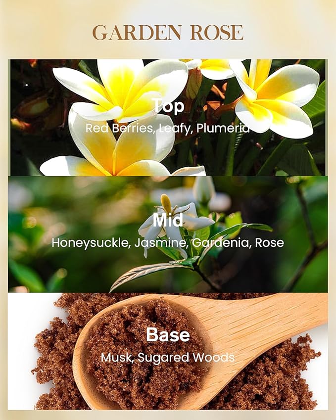M&SENSE Garden Rose Scented Natural Soy Wax Candle, 14.1oz 60 Hours Long Lasting Slow Burning Candles for Home Decor, Aromatherapy Candle for Stress Relief-Ruum Studio Home