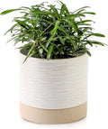 Nihow Ceramic Plant Pot: 6 Inch Planter with Drainage Hole & Saucer for Indoor & Outdoor Plants - Cylinder Round Flower Pot for Succulent/Herbs/Violets - Cream White & Brown-Ruum Studio Home