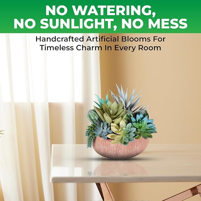 Premium Assorted Artificial Succulent Collection - Large Real Touch Artificial Cactus, Aloe Vera & Succulent Plants Artificial with Pots for Home Office Indoor (Artificial Coconut Shell - Pot)-Ruum Studio Home