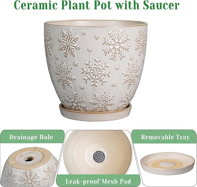 Ceramic Planter 8 Inch Plant Pot with Drainage Hole and Saucer Ceramic Pots for Indoor Plants Outdoor Large Flower Pot for Home Decor White-Ruum Studio Home