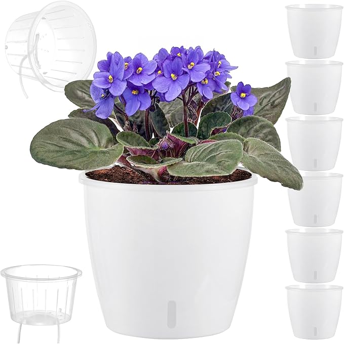 Self Watering Pots for Indoor Plants, 6-Pack 6.7'' Self Watering Planter with Drainage Holes, Small African Violet Pots with Water Indicator, Clear Wick Orchid Pot, White-Ruum Studio Home
