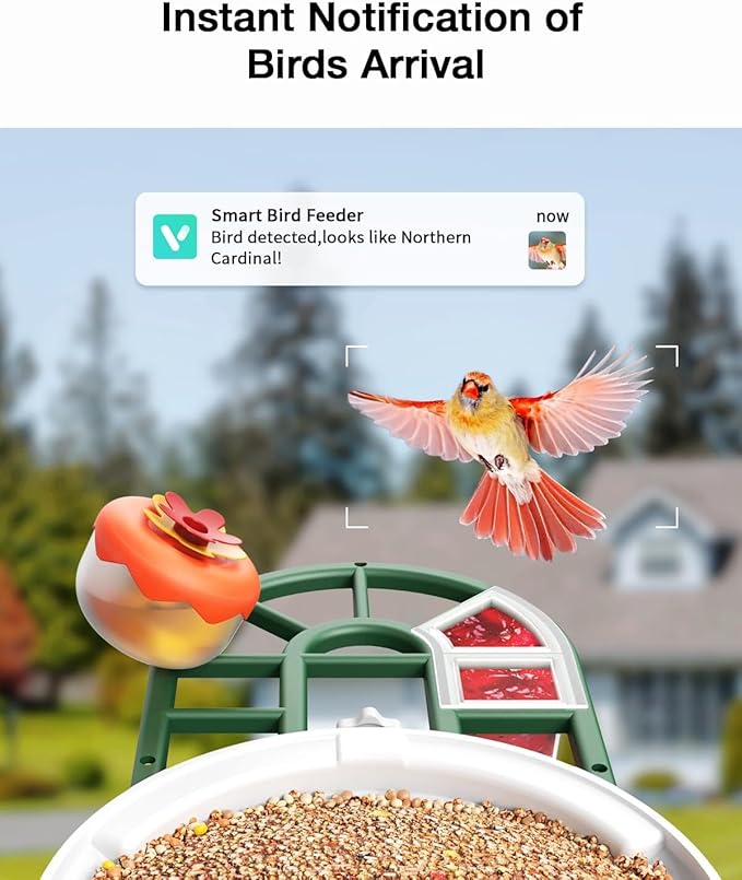 Bird Feeder with Camera-2K Live Video, Solar-Powered, Smart AI Identify Birds, 2L Food Capacity, Arrived Alerts, Bird Videos Storage, Mini Hummingbird Feeder for Watching Birds Outdoor-Ruum Studio Home