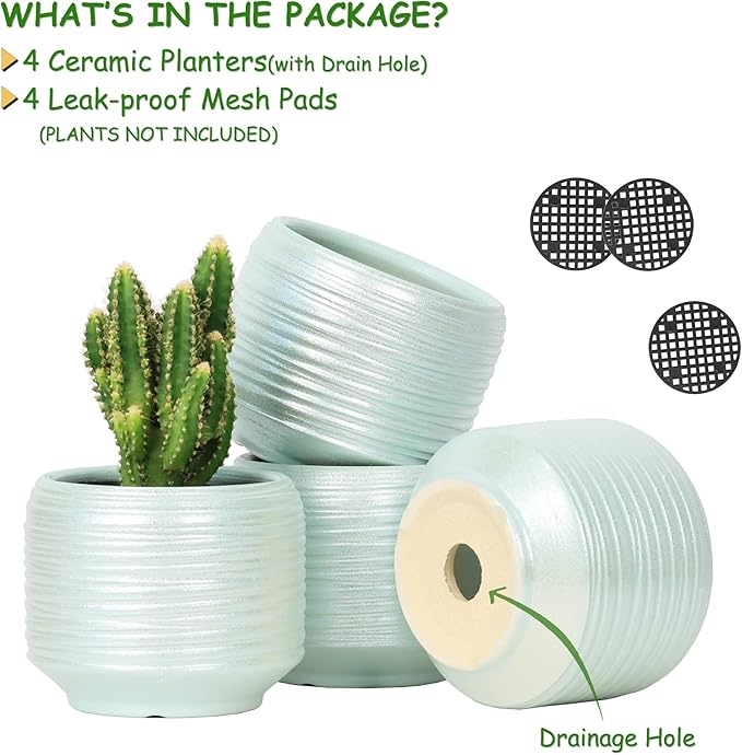 Mini Succulent Planter Set – 3.7 Inch Ceramic Pots with Drainage for Indoor Plants, Small Decorative Flower Pots for Cactus and House Plants, Set of 4-Ruum Studio Home