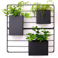 KASSELL Vertical Garden Wall Planter. Wall Mounted for Indoor Outdoor. All Metal Black Vertical Planter with No Assembly Required. Planter for Indoor Plants Flowers, Herbs, Succulents and Plants-Ruum Studio Home