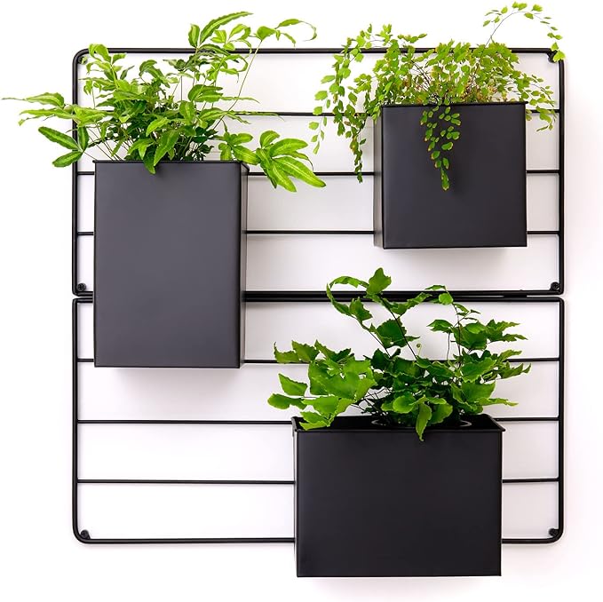 KASSELL Vertical Garden Wall Planter. Wall Mounted for Indoor Outdoor. All Metal Black Vertical Planter with No Assembly Required. Planter for Indoor Plants Flowers, Herbs, Succulents and Plants-Ruum Studio Home