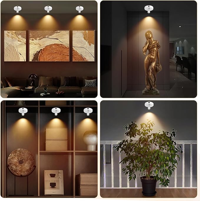 Cordless Spotlight Battery Powered, Plant Spot Light Indoor, Rechargeable Picture Lights with Remote, LED Accent Lighting, Dimmable Uplight for Tree Dartboard Decor Painting Art Photo-Ruum Studio Home