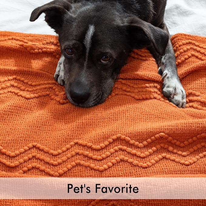 MIULEE Burnt Orange Knitted Throw Blanket for Couch Boho Textured Cozy Woven Blanket with Tassels for Sofa Chair Bed Living Room Fall Home Decor Farmhouse Acrylic Wave Pattern 50"x60"-Ruum Studio Home