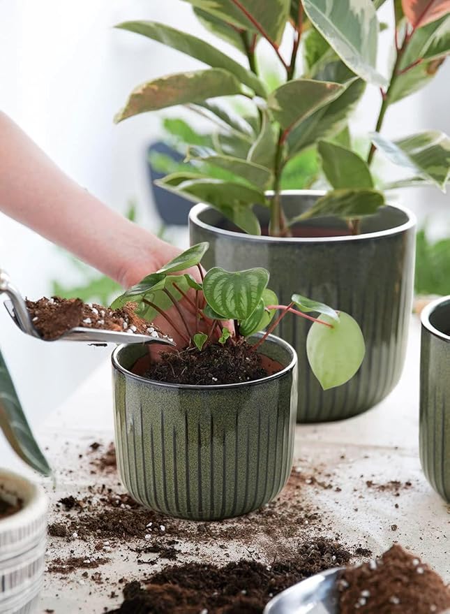 LE TAUCI Fluted Ceramic Planters Set of 3 – 8.3/7 / 5.7 in Dark Olive Reactive Cylinder Indoor Plant Pots with Drainage Plug & Mesh, Glossy Stoneware Flower Pots for Succulents Herbs-Ruum Studio Home