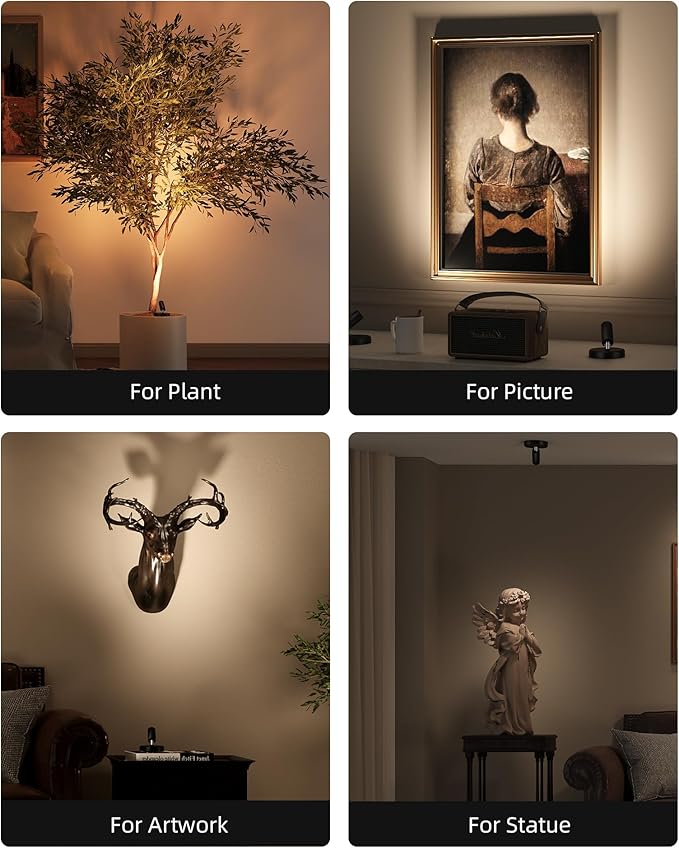 EZVALO Spotlights Indoor with Remote, 5500mAh Rechargeable Picture Lights, Wireless LED Uplighting with Timer＆Dimmable, 3CCT, Display Lights for Plant Painting, Artwork, Accent Lighting (2Pack-Black)-Ruum Studio Home