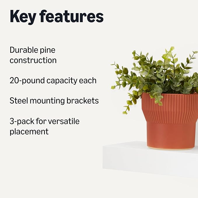 Amazon Basics Wood Floating Wall Shelves, Pack of 3, White, 15.8" x 5" x 1.8"-Ruum Studio Home