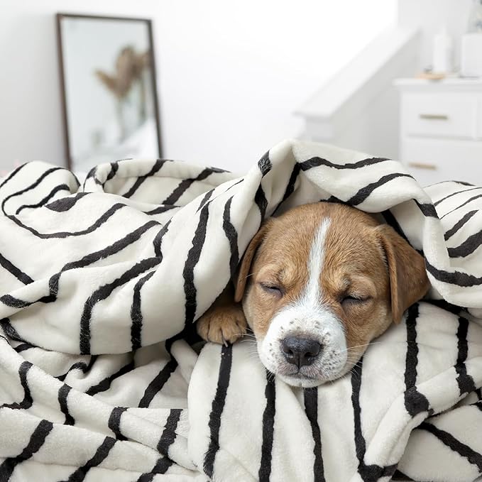 Lahome Boho Fleece Throw Blanket Black White Striped Fluffy Bed Throws Soft Cozy Warm Fuzzy Throw Blanket Reversible Blankets for Couch Sofa, Off White 50''x60''-Ruum Studio Home
