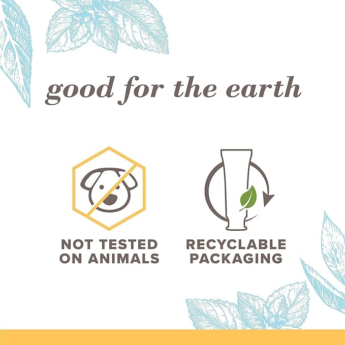 Burt's Bees Extra White Toothpaste, Fluoride Toothpaste, Natural Flavor, Mountain Mint, 4.7 oz, Pack of 3-Ruum Studio Home
