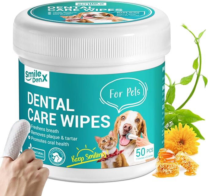 Dog Dental Care Finger Wipes - Teeth Cleaning Finger Wipes for Dog & Cats - Tooth Brushing Kit Dental Wipes for Dog - Reduces Plaque & Freshens Breath (50 PCS, Beef)-Ruum Studio Home