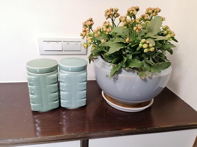 UNESCO Heritage Longquan Celadon Tea Canister Set - Dual Ceramic Jars, 900ml Airtight Storage with Plum Green & Powder Blue Glazes | Elegant Chinese Craftsmanship-Ruum Studio Home