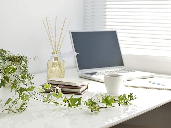 LOVSPA Reed Diffuser Set, Coconut & Eucalyptus Scented Oil Diffuser with Sticks, Home Fragrance Accessories for Bathroom Shelf Decor, Aroma Diffusers for Home or Office Desk, USA Made-Ruum Studio Home