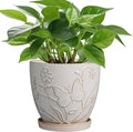 6 Inch Ceramic Plant Pot for Indoor Plants Outdoor Round Planter Flower Pot with Drainage Hole and Saucer for Home Garden Office Decor White-Ruum Studio Home
